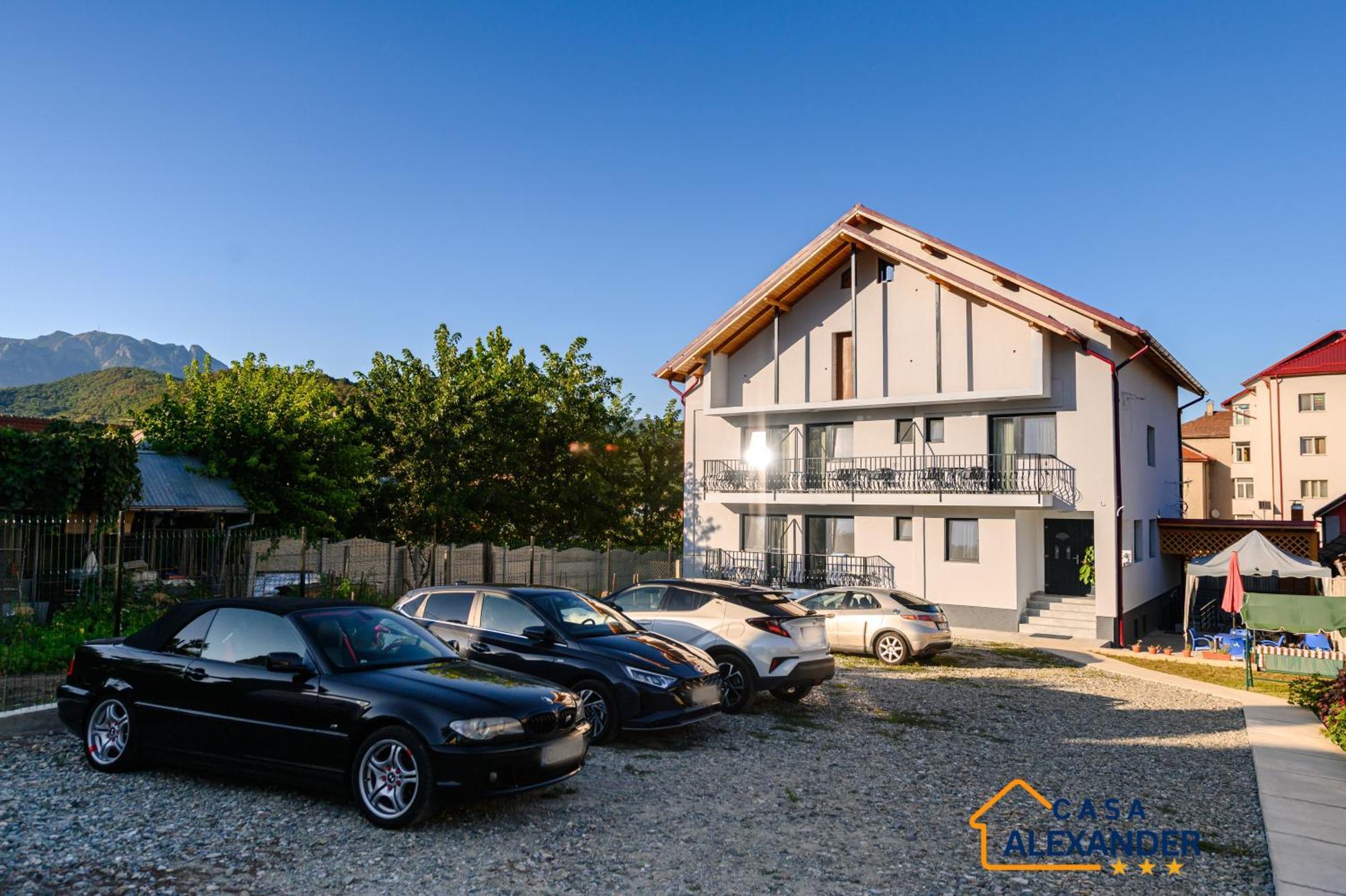 Casa Alexander Hotel Calimanesti Exterior photo