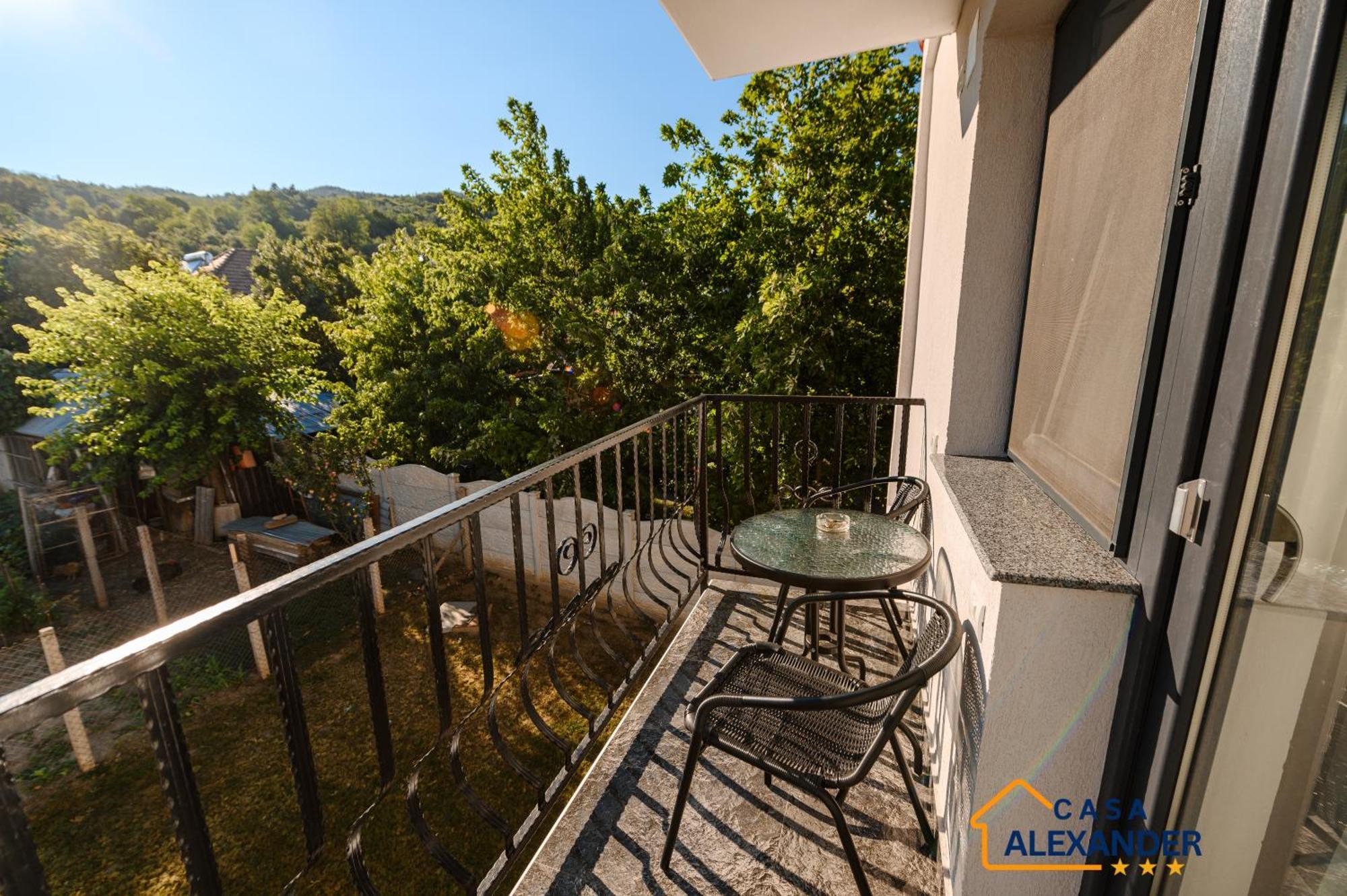 Casa Alexander Hotel Calimanesti Exterior photo